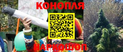 индика Бузулук