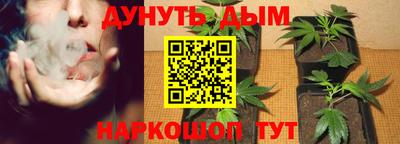 винт Будённовск